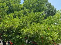-涂山风景区