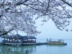 -无锡蠡湖国家湿地公园-蠡园