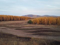 -塞罕坝国家级自然保护区