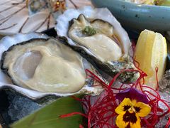 -Hatsune隐泉日式料理(三里屯太古里店)