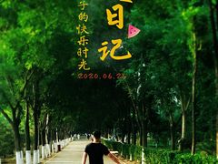 -东郊湿地公园