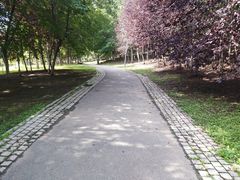 -莫子山公园