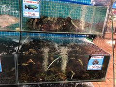 -范饭椰林川湘味海鲜·椰子鸡(三亚湾椰梦长廊店)