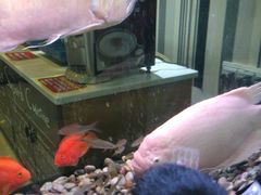 -兄弟尚品星派休闲茶餐厅