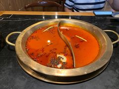 -杨家火锅(国美店)