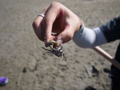 -北海金海湾红树林生态旅游区