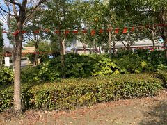 -菊园百果园