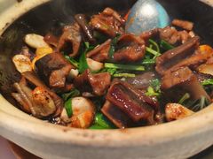-新兴·金羊座·粤菜点心(乐峰店)
