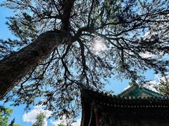 -潭柘寺景区