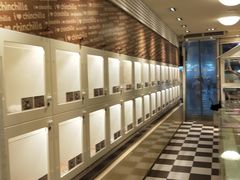 -龙猫仔乐园(惠福东路店)