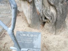 -仓颉庙