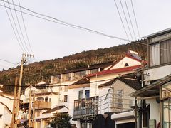 -美味之家·湖景农家乐(太湖东山店)