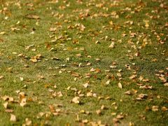 -苏州河梦清园环保主题公园