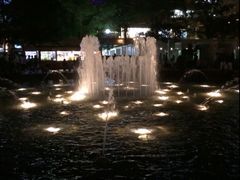 -大通公园