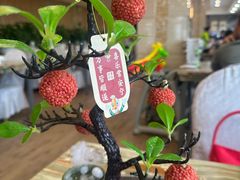 -椿记烧鹅(北门店)