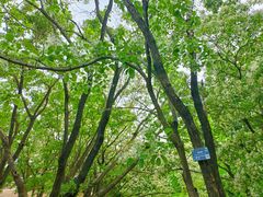 -国家植物园南园