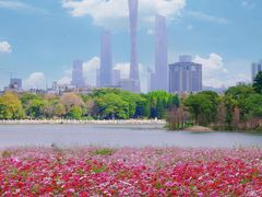 -海珠湖公园