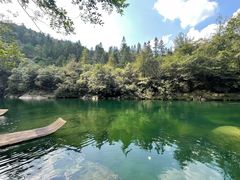 -石台牯牛降景区