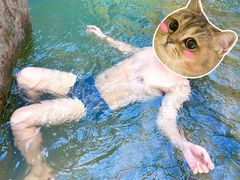 -广州白江湖森林公园