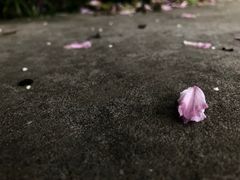 -笋爷高汤嗦螺粉·螺蛳粉(上社店)