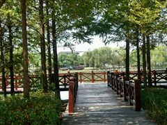 -上海市第一人民医院(松江南部)