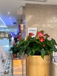-南京康美美容医院·旗舰店