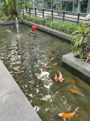 -宝生月子中心·私家园林式(龙华观澜店)
