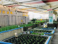 -巴黎春天(浦建店)