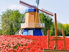 -北京国际鲜花港