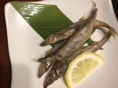 -花月日本料理(奥林匹克大厦店)