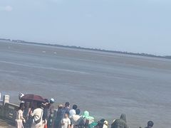 -观潮胜地公园