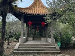 -雨花胜境