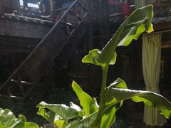 -吃货私房菜(丽江束河古镇店)