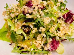 果蔬大拌菜-簋街仔仔小龙虾(总店)