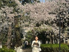 -武汉大学-樱园