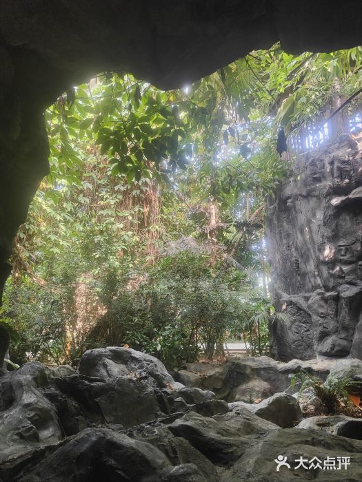 西安世博园图片