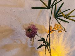 -昼夜咖啡馆