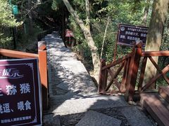 -庐山风景区花径公园