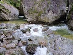 -王顺山国家森林公园