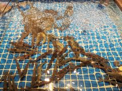 -小时候焗海鲜(鄞州万达店)