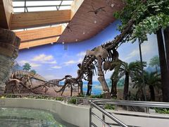 -延庆地质公园博物馆