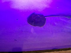 -沈阳海洋探索中心