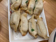 鲜肉锅贴-小姜锅贴(凤凰街店)