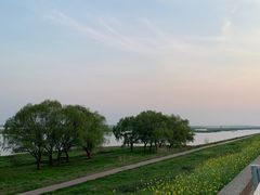 -湖南东洞庭湖国家级自然保护区