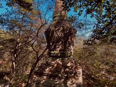 -阳台山自然风景区