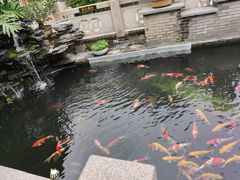 -顺德了能馆(虎门店)