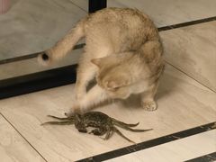 -金地利海鲜酒楼(清凉门店)