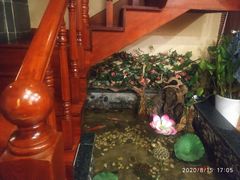 -盤古Spa泰式古法抓龙筋(鲁迅路店)