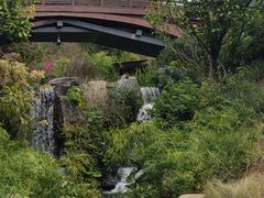 -云溪植物园