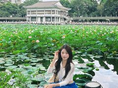 -荔湾湖公园